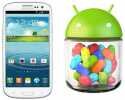 Inilah Trik Rahasia Optimalkan Jelly Bean