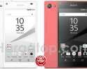 Harga Sony Xperia Z5 Compact